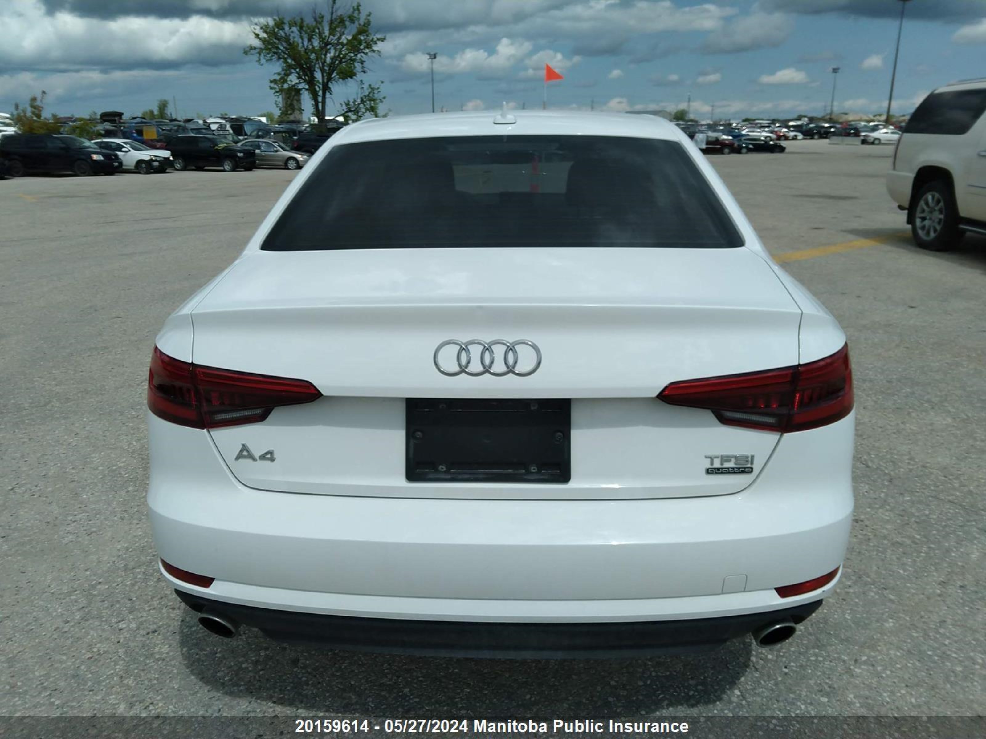 Photo 15 VIN: WAUANAF48HN003214 - AUDI A4 