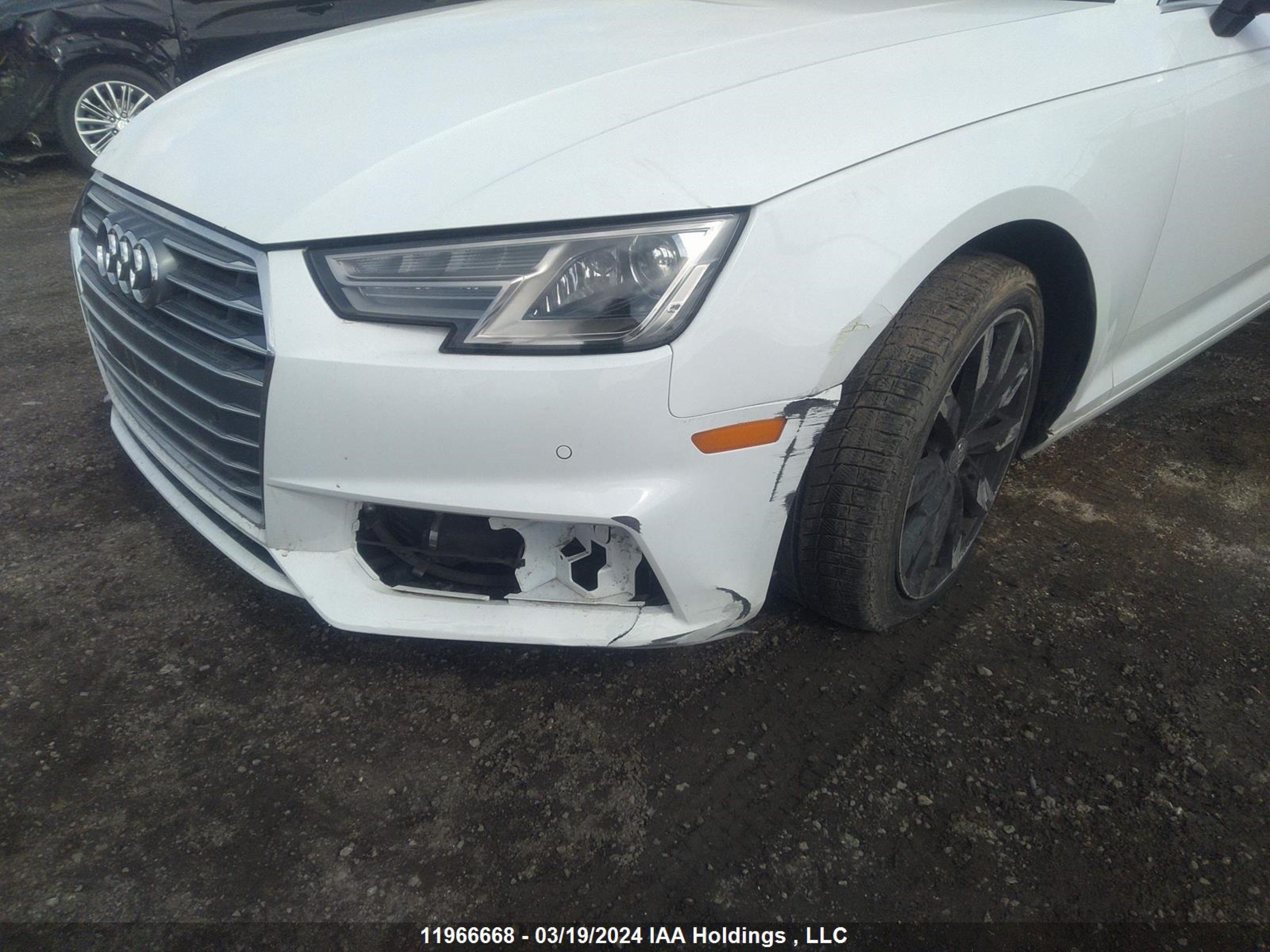 Photo 5 VIN: WAUANAF49KN020272 - AUDI A4 