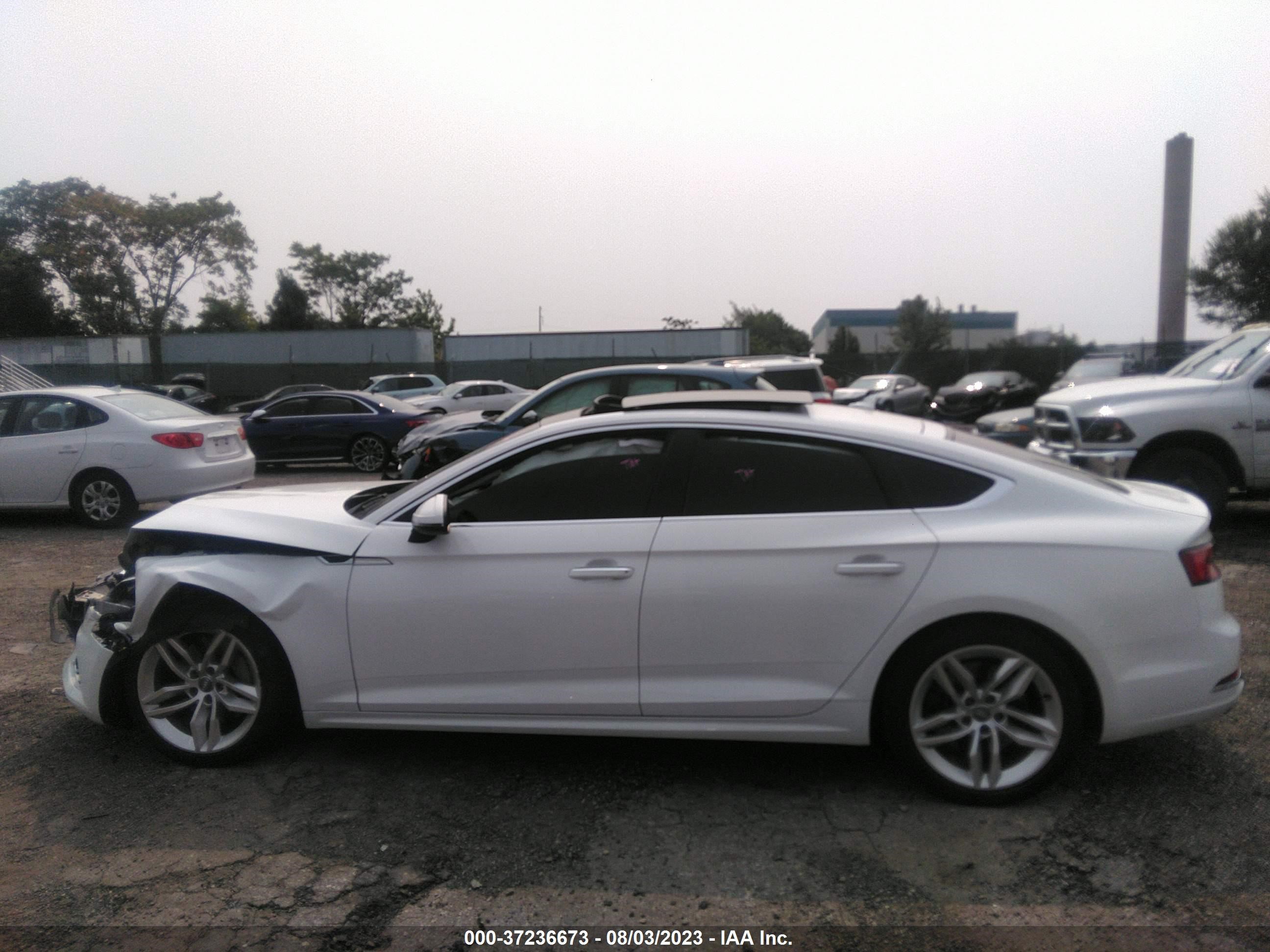 Photo 13 VIN: WAUANCF59KA060038 - AUDI A5 