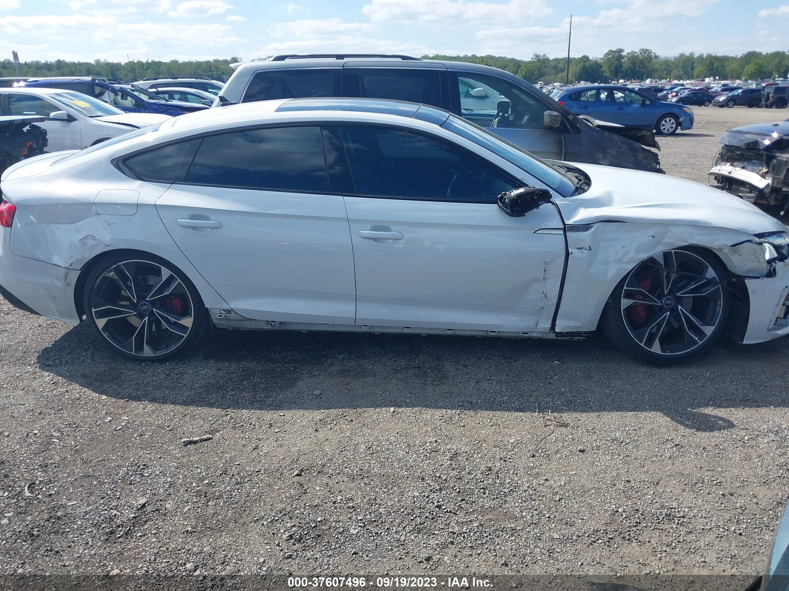 Photo 12 VIN: WAUB4CF54MA018807 - AUDI S5 