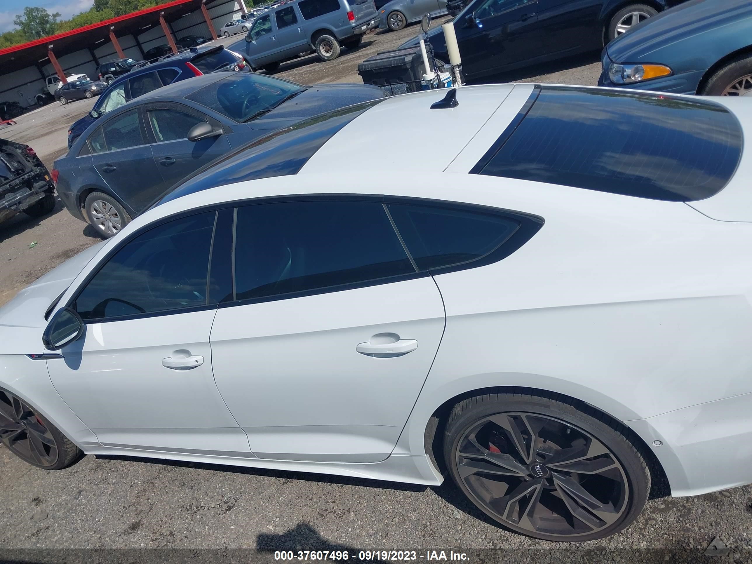 Photo 13 VIN: WAUB4CF54MA018807 - AUDI S5 