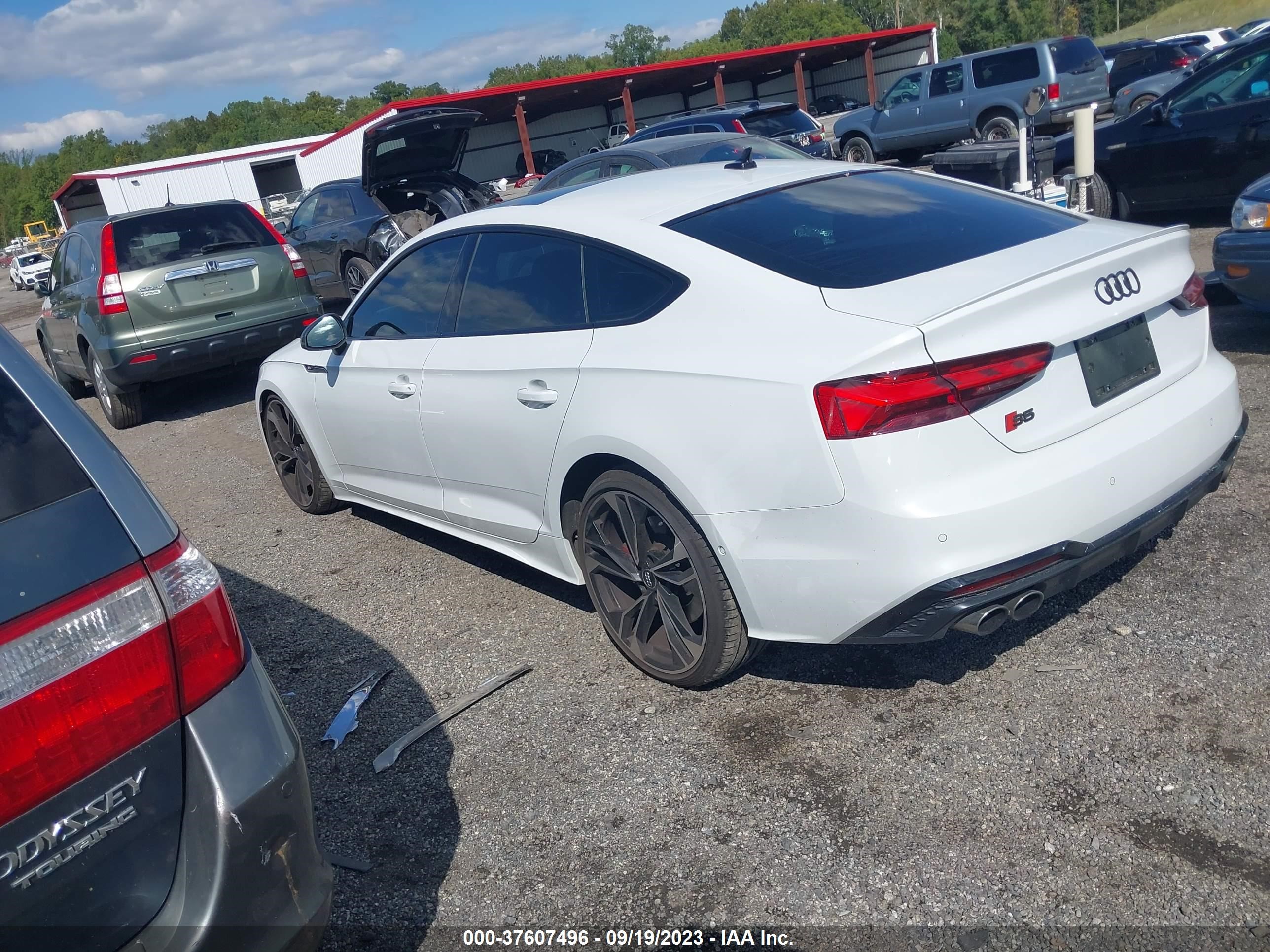 Photo 2 VIN: WAUB4CF54MA018807 - AUDI S5 