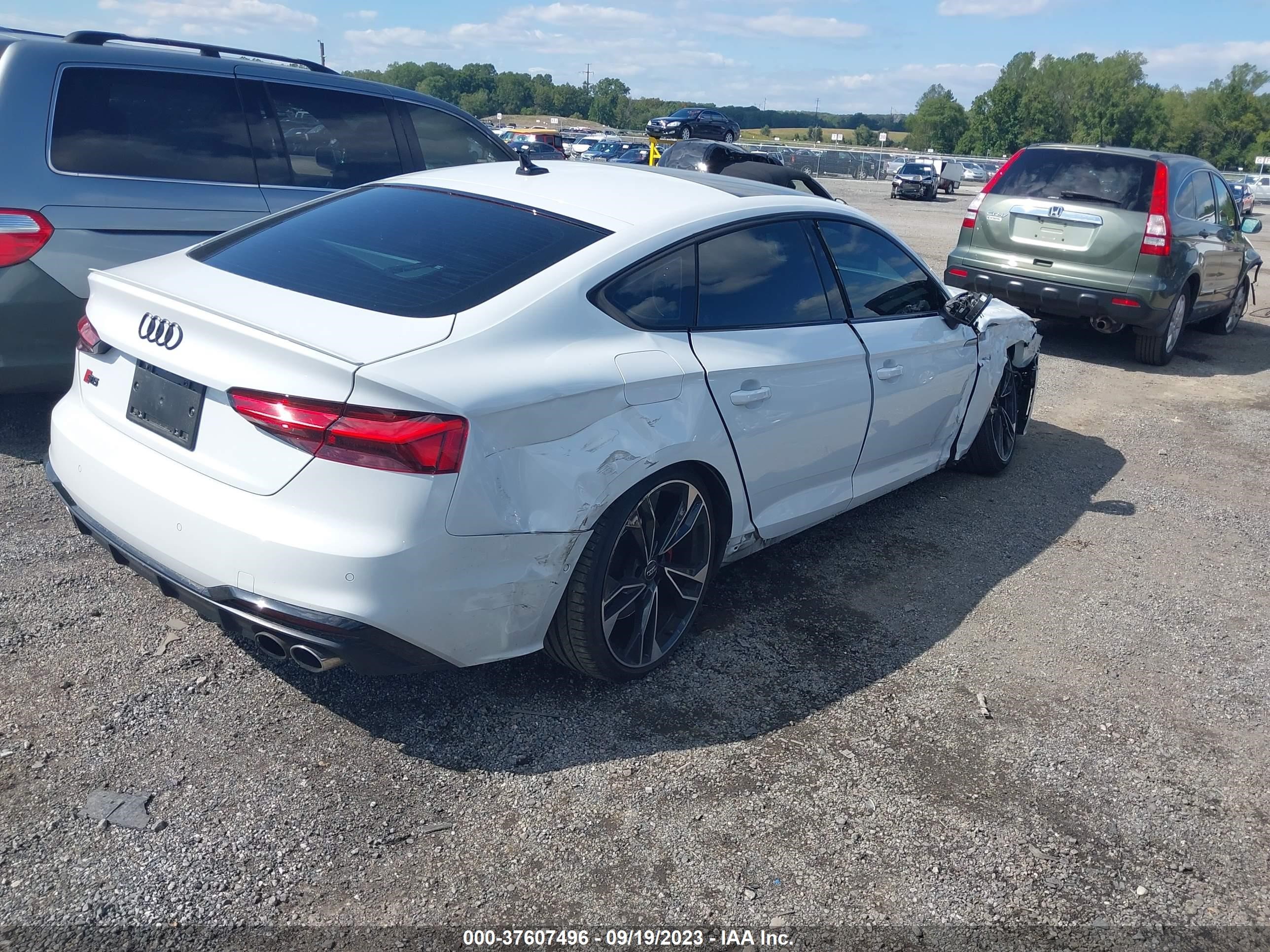 Photo 3 VIN: WAUB4CF54MA018807 - AUDI S5 