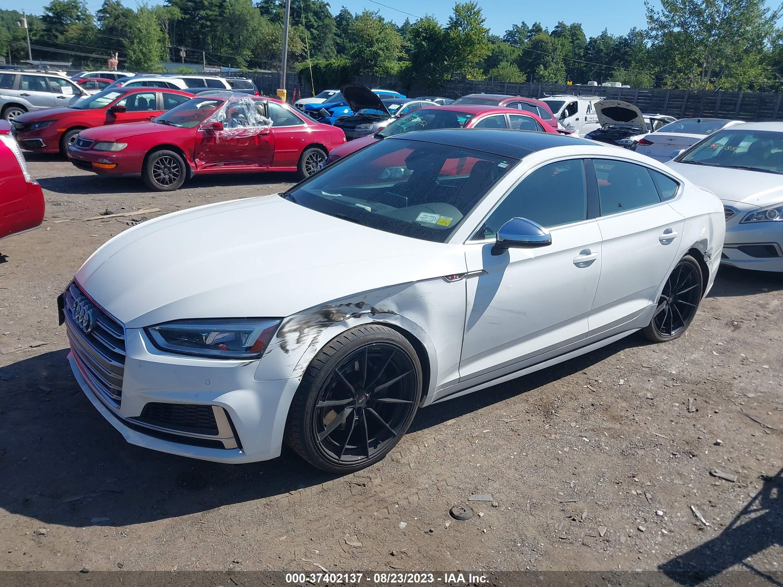 Photo 1 VIN: WAUB4CF55JA041363 - AUDI S5 