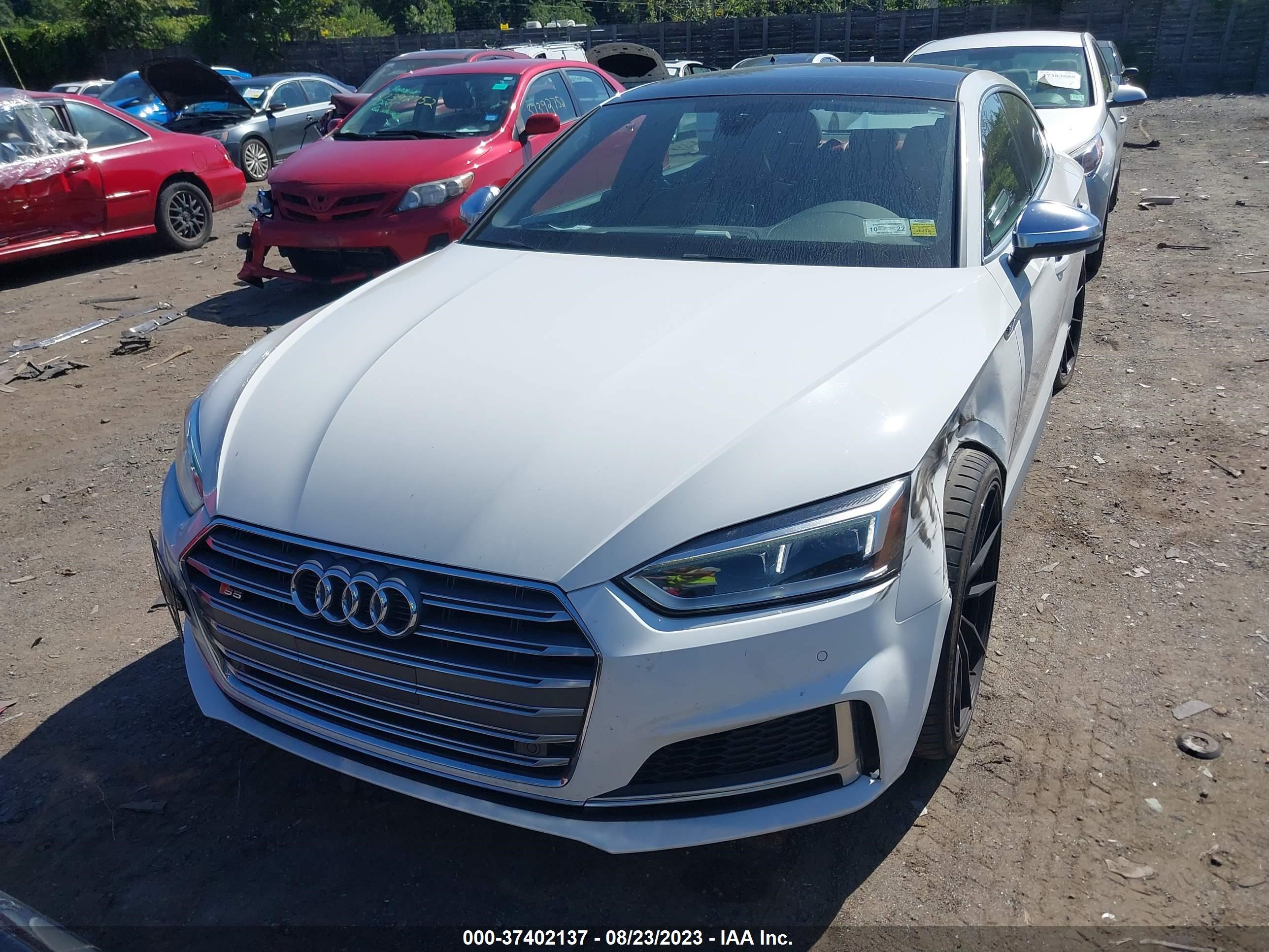 Photo 11 VIN: WAUB4CF55JA041363 - AUDI S5 