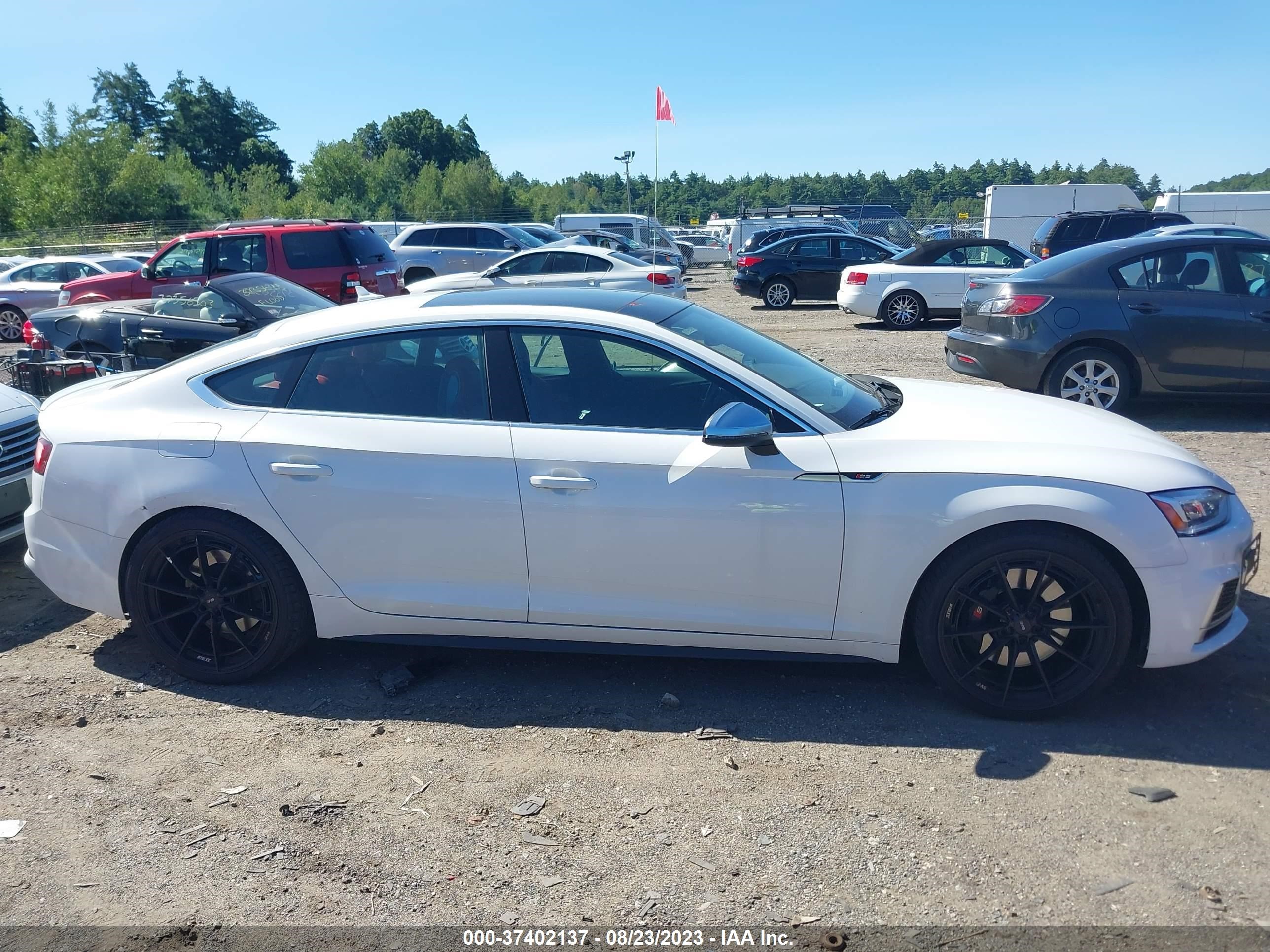 Photo 12 VIN: WAUB4CF55JA041363 - AUDI S5 