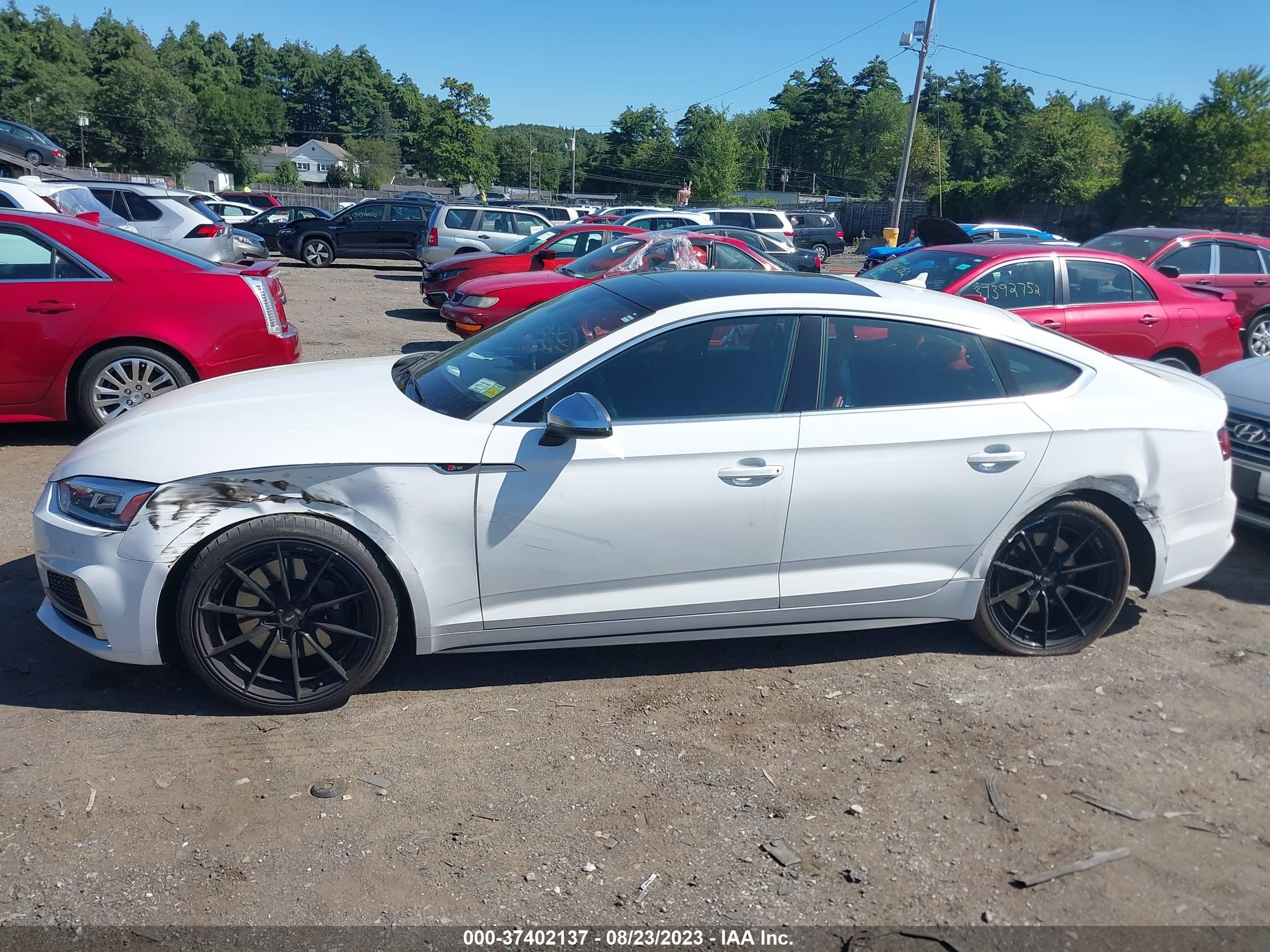 Photo 13 VIN: WAUB4CF55JA041363 - AUDI S5 