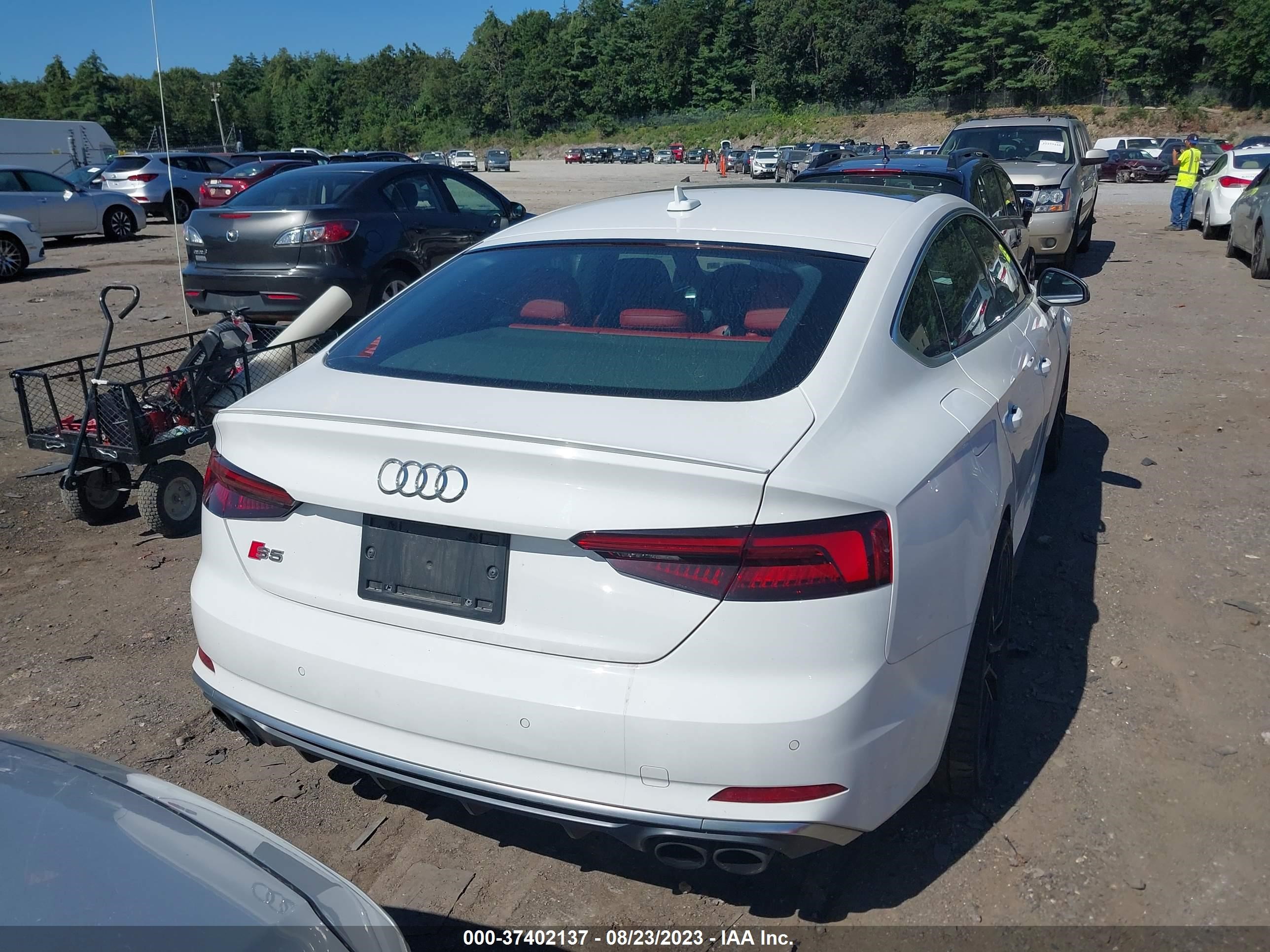 Photo 15 VIN: WAUB4CF55JA041363 - AUDI S5 