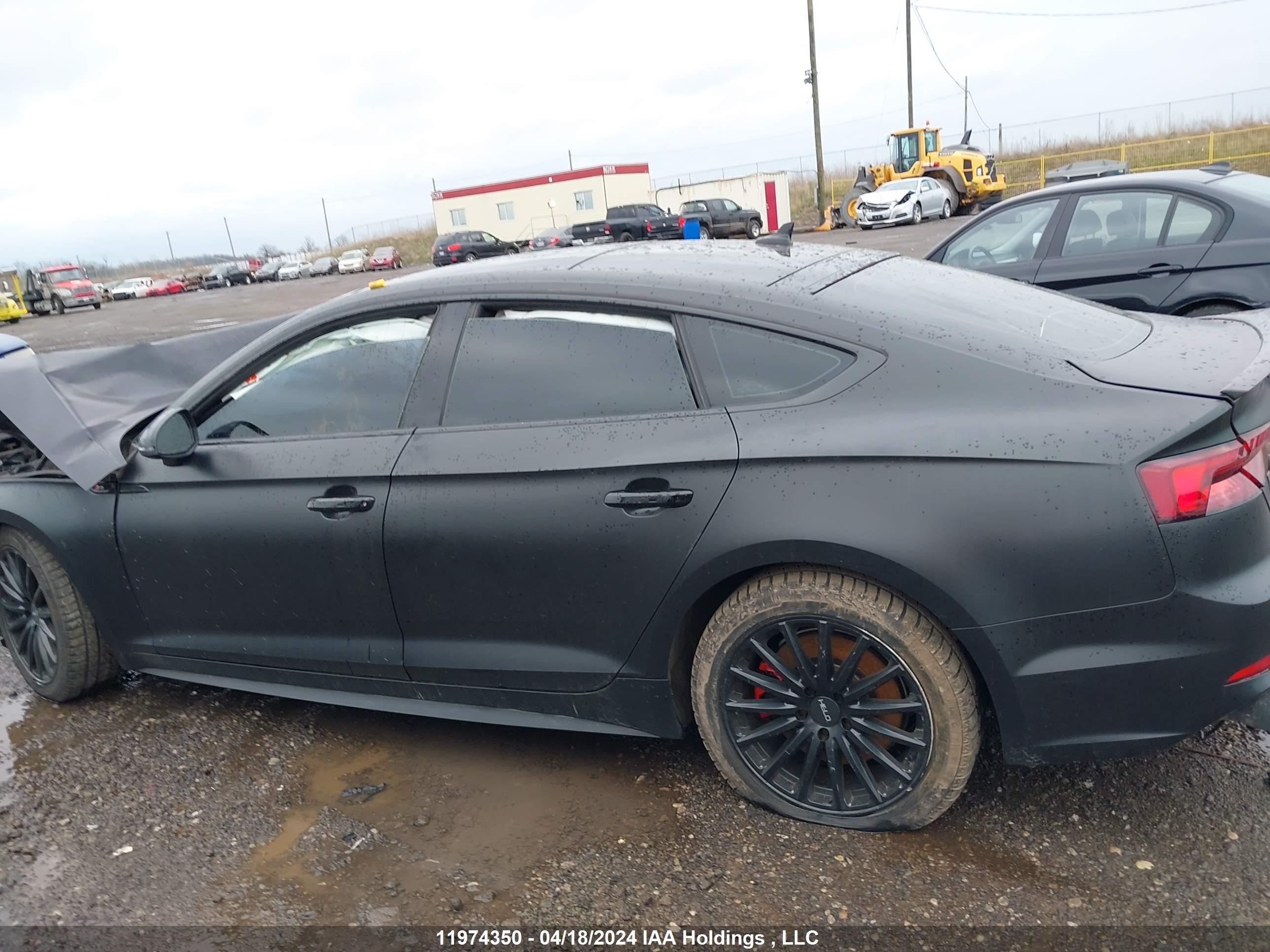 Photo 12 VIN: WAUB4CF58JA117626 - AUDI S5 