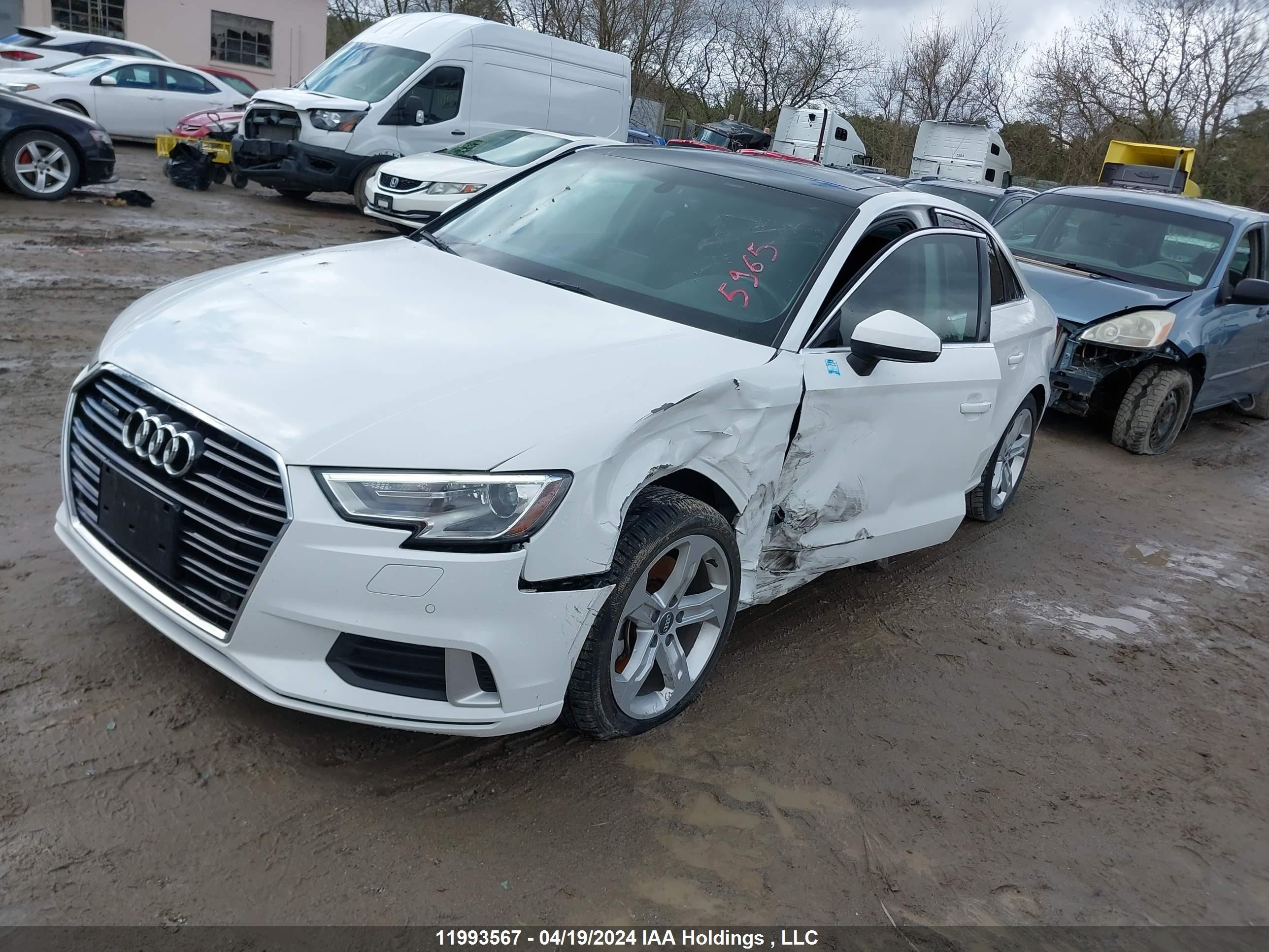 Photo 1 VIN: WAUB8GFF1H1064508 - AUDI A3 