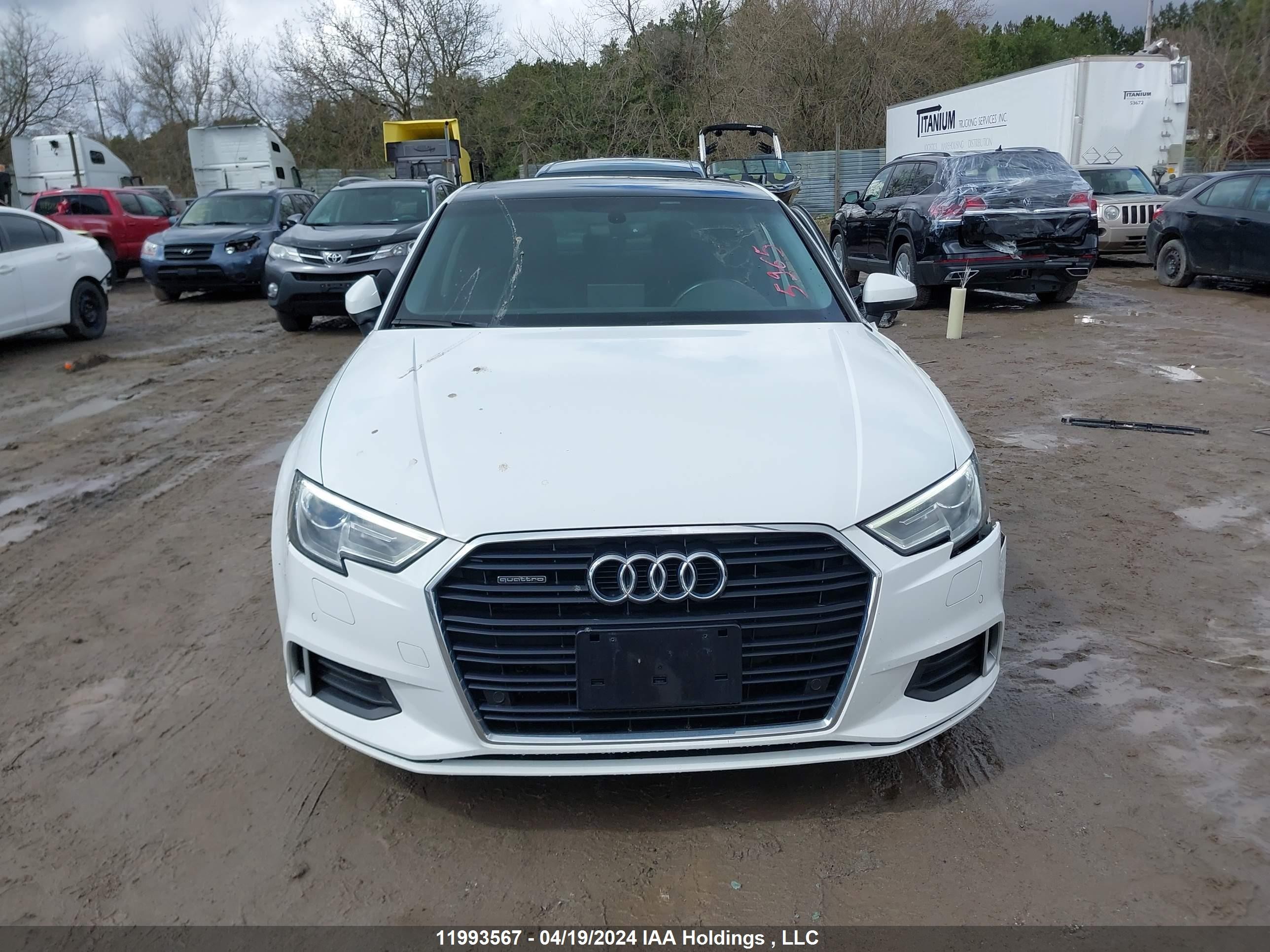 Photo 11 VIN: WAUB8GFF1H1064508 - AUDI A3 