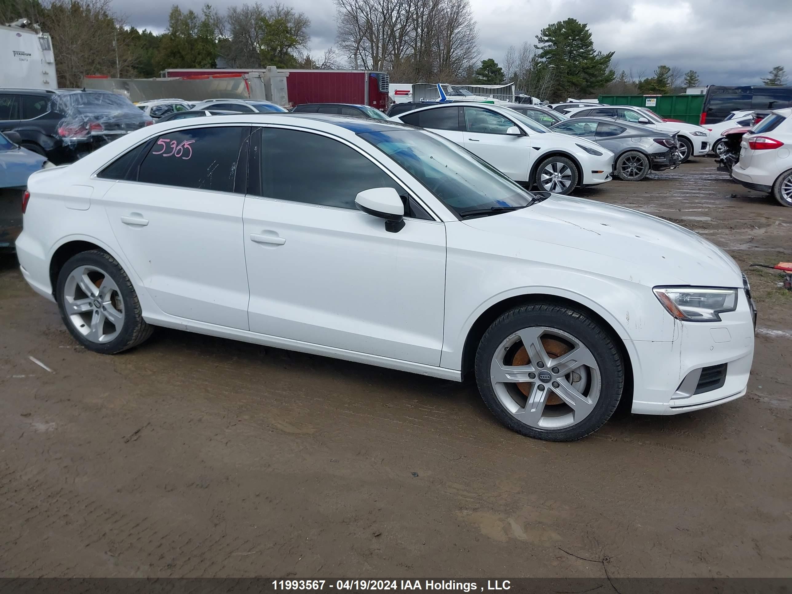 Photo 12 VIN: WAUB8GFF1H1064508 - AUDI A3 