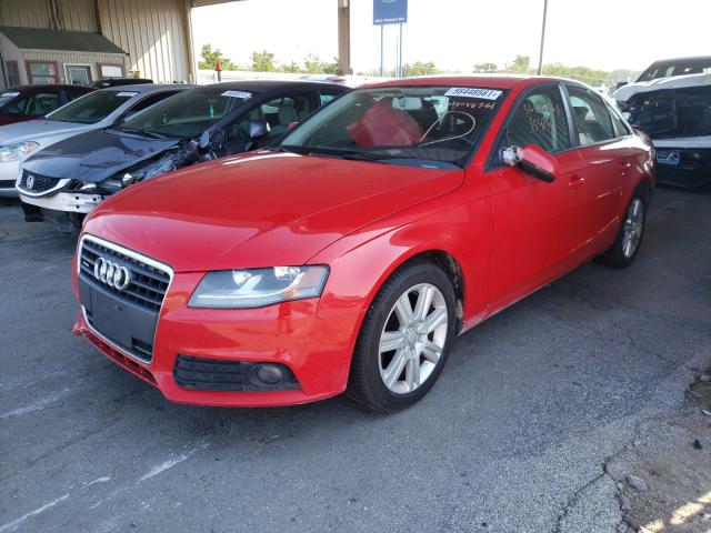 Photo 1 VIN: WAUBFAFL0AN035668 - AUDI A4 PREMIUM 