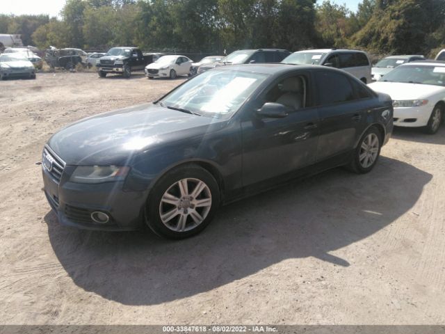 Photo 1 VIN: WAUBFAFL0BN007645 - AUDI A4 