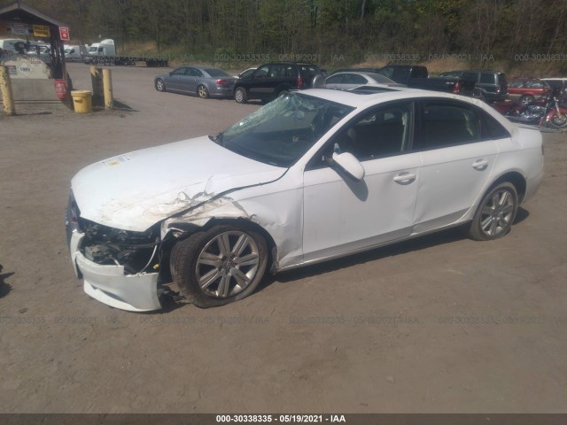 Photo 1 VIN: WAUBFAFL0BN051290 - AUDI A4 