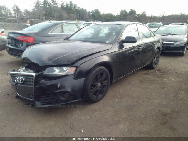 Photo 1 VIN: WAUBFAFL0CN008876 - AUDI A4 