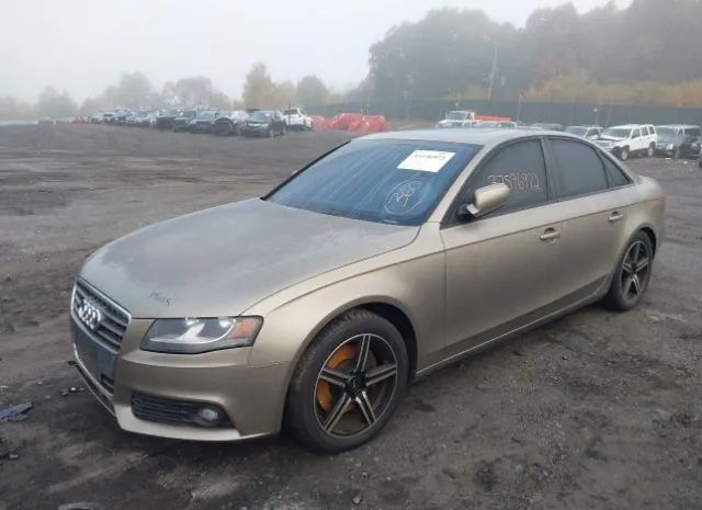 Photo 1 VIN: WAUBFAFL1AN005434 - AUDI A4 