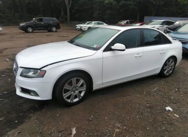 Photo 1 VIN: WAUBFAFL1AN038787 - AUDI A4 