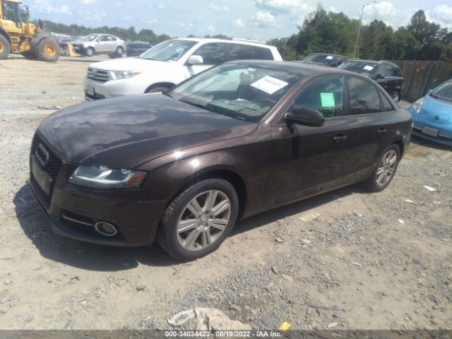 Photo 1 VIN: WAUBFAFL1BN003667 - AUDI A4 