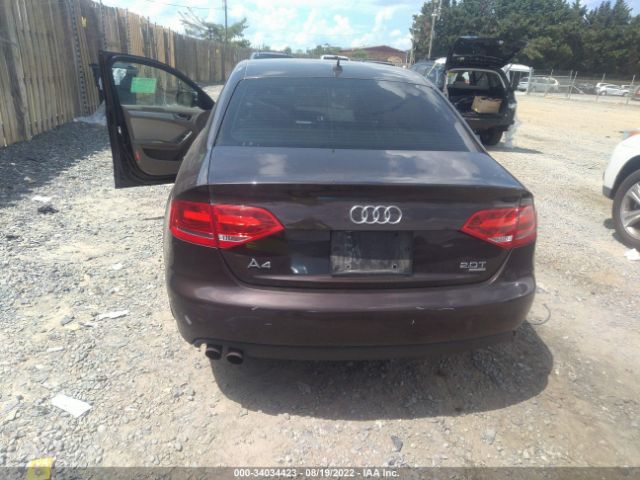 Photo 5 VIN: WAUBFAFL1BN003667 - AUDI A4 