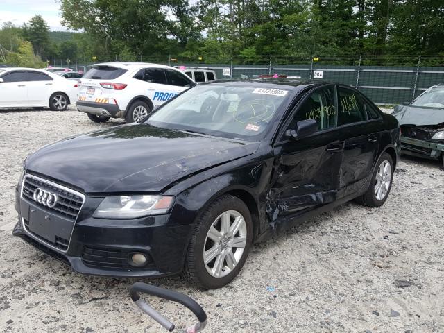 Photo 1 VIN: WAUBFAFL1BN052528 - AUDI A4 