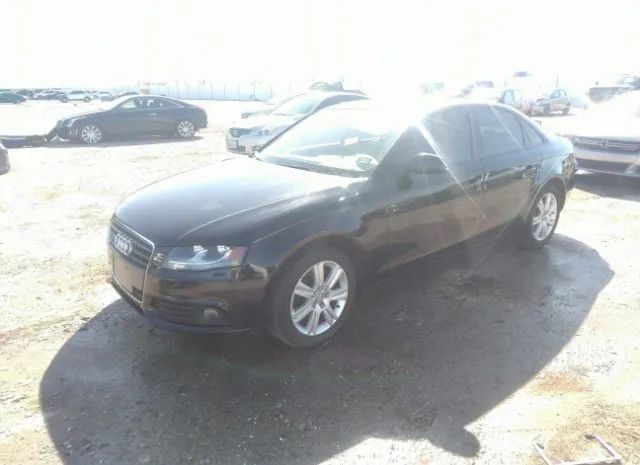 Photo 1 VIN: WAUBFAFL2AN008021 - AUDI A4 