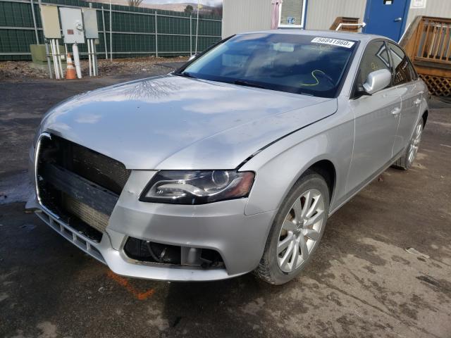 Photo 1 VIN: WAUBFAFL2CN006398 - AUDI A4 