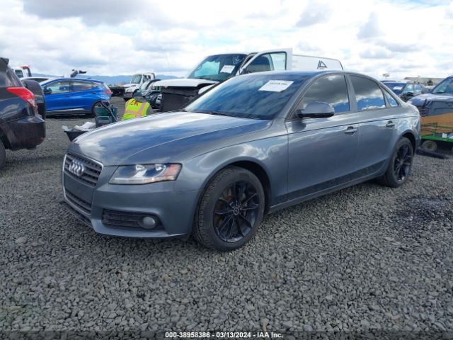 Photo 1 VIN: WAUBFAFL2CN010564 - AUDI A4 