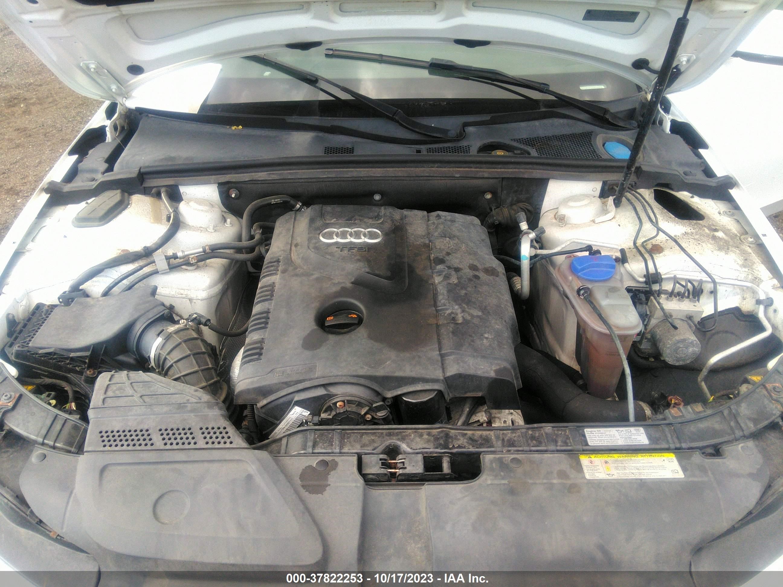 Photo 9 VIN: WAUBFAFL2DN044635 - AUDI A4 