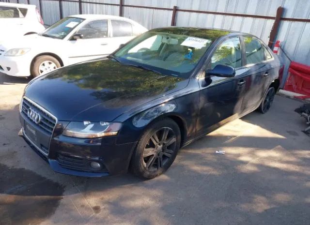 Photo 1 VIN: WAUBFAFL3BN006084 - AUDI A4 