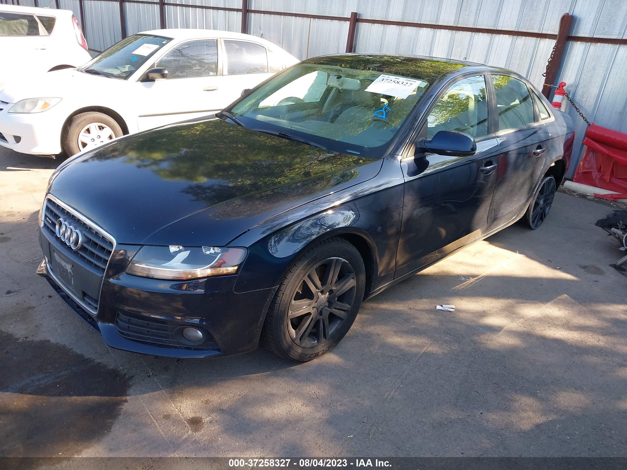 Photo 1 VIN: WAUBFAFL3BN006084 - AUDI A4 