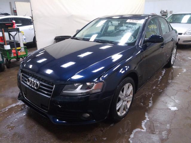 Photo 1 VIN: WAUBFAFL3BN016033 - AUDI A4 