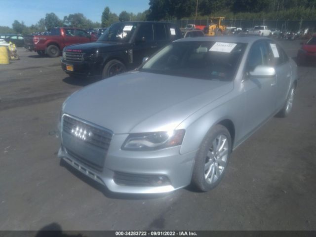 Photo 5 VIN: WAUBFAFL3CN020276 - AUDI A4 