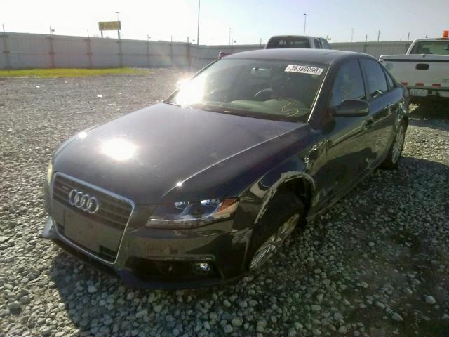 Photo 1 VIN: WAUBFAFL4BA101180 - AUDI A4 PREMIUM 