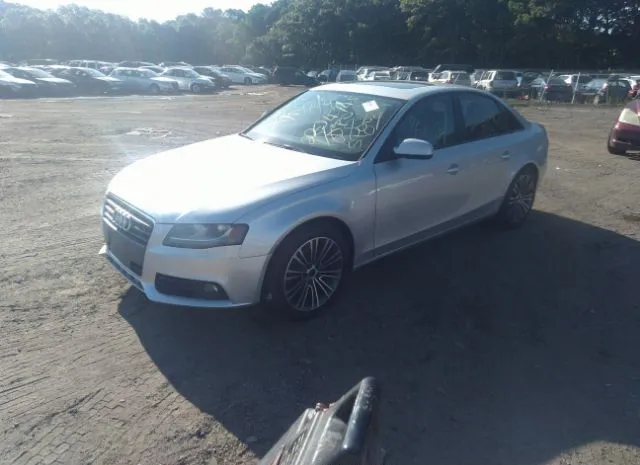 Photo 1 VIN: WAUBFAFL4BN025243 - AUDI A4 