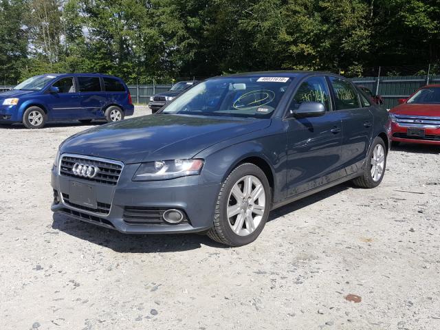 Photo 1 VIN: WAUBFAFL5AN007008 - AUDI A4 