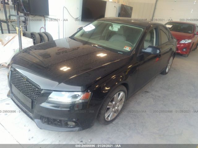 Photo 1 VIN: WAUBFAFL5AN034046 - AUDI A4 