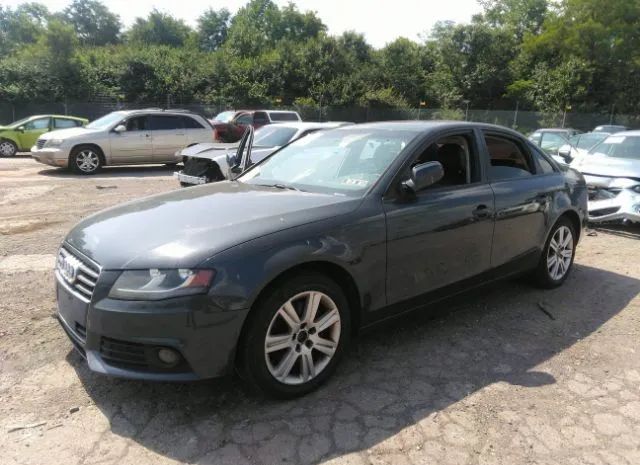 Photo 1 VIN: WAUBFAFL5AN047248 - AUDI A4 