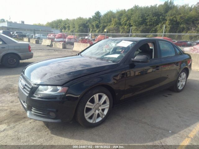 Photo 1 VIN: WAUBFAFL5AN059075 - AUDI A4 