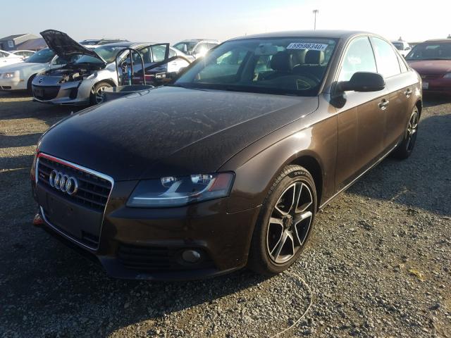 Photo 1 VIN: WAUBFAFL5BN003154 - AUDI A4 