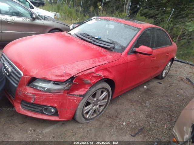 Photo 1 VIN: WAUBFAFL5BN020827 - AUDI A4 