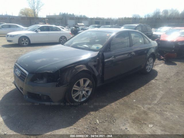 Photo 1 VIN: WAUBFAFL5BN030158 - AUDI A4 