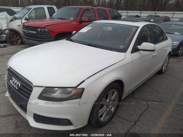 Photo 1 VIN: WAUBFAFL5BN036851 - AUDI A4 