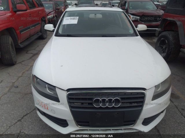 Photo 5 VIN: WAUBFAFL5BN036851 - AUDI A4 