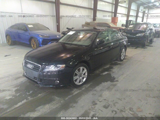 Photo 1 VIN: WAUBFAFL6AN011438 - AUDI A4 