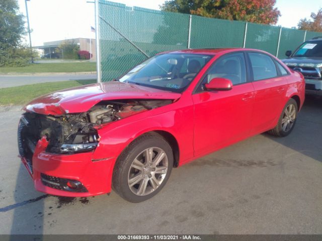 Photo 1 VIN: WAUBFAFL6AN049722 - AUDI A4 