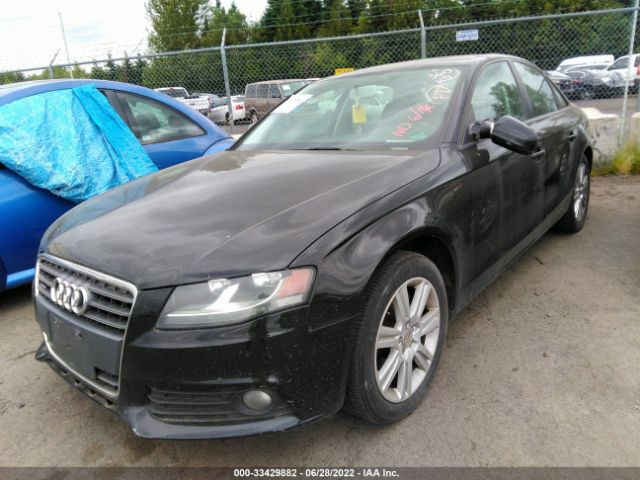 Photo 1 VIN: WAUBFAFL6AN050336 - AUDI A4 