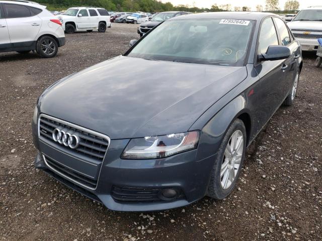 Photo 1 VIN: WAUBFAFL6AN062079 - AUDI A4 PREMIUM 