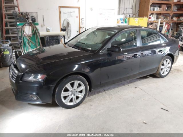 Photo 1 VIN: WAUBFAFL6BN052556 - AUDI A4 