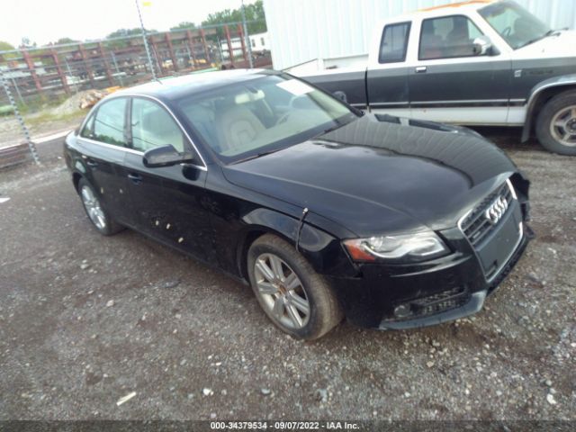 Photo 0 VIN: WAUBFAFL6CN006646 - AUDI A4 